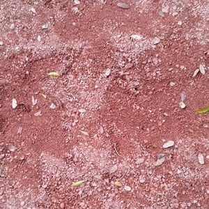 Meet your Posher, Rick